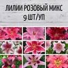 Лилии Розовый микс