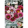 Семена Газания Арктик Берри (а/ф Биотехника)