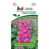 Семена Дельфиниум Пинк Пунш F1 (А/Ф Партнер)