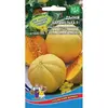 Семена Дыня Карамелька F1 (а/ф Уральский Дачник)