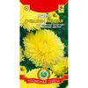 Семена Астра Гремлин желтая (а/ф Плазменные семена)