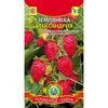 Семена Земляника Александрия (а/ф Плазменные семена)