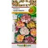 Семена Гвоздика Шабо Пикоти, смесь (0,1г. а/ф Русский Огород)