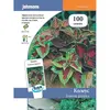 Семена Колеус Блюме Радуга, 100 шт (а/ф Johnsons)