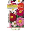 Семена Пиретрум Малиновые гиганты (0,4г. а/ф Русский Огород)