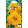 Семена Подсолнечник Папа Тэдди (а/ф Седек)