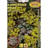 Семена Седум Каменная роза (а/ф Аэлита)