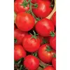 Семена Томат Ранний 83 (а/ф Уральский Дачник)