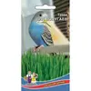 Семена Трава Для Попугаев (а/ф Уральский Дачник)