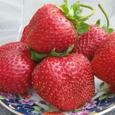 Земляника (Клубника) Гигант