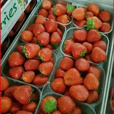 Земляника (Клубника) Аллегро