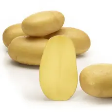 Картофель семенной Королева Анна (1 кг/уп - репродукция элита, ранний)