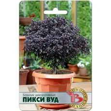 Семена Базилик декоративный Пикси Вуд (а/ф Биотехника)