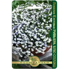 Семена Лобелия кустовая Ривьера Блю Сплэш (а/ф Биотехника)