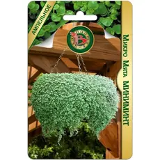 Семена Микро Мята Миниминт (а/ф Биотехника)