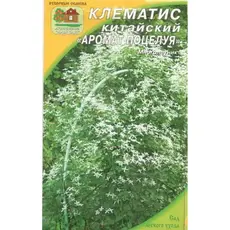 Семена Клематис Аромат поцелуя, белый 5 шт. (а/ф Наш сад)