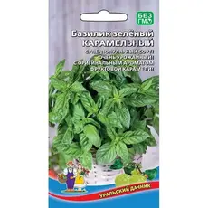 Семена Базилик Карамельный - зеленый (а/ф Уральский Дачник)