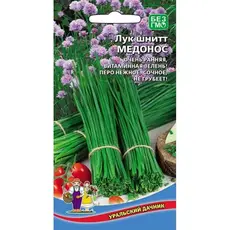 Семена Лук шнитт Медонос (а/ф Уральский Дачник)