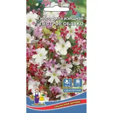 Семена Гипсофила Пестрое Облако - изящная (а/ф Уральский Дачник)