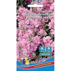 Семена Годеция Розовый Закат - крупноцветковая (а/ф Уральский Дачник)
