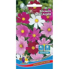 Семена Космеяесь (а/ф Уральский Дачник)