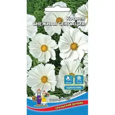 Семена Космея Снежная Сенсация (а/ф Уральский Дачник)