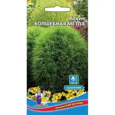 Семена Кохия Волшебная Метла (а/ф Уральский Дачник)