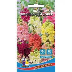Семена Львиный Зев Волшебный Ковер (а/ф Уральский Дачник)