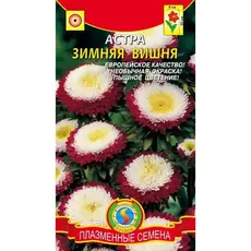 Семена Астра Зимняя вишня (а/ф Плазменные семена)