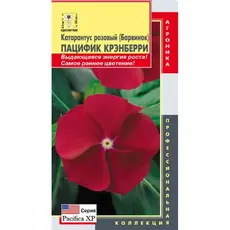 Семена Катарантус розовый (Барвинок) Пацифик Крэнберри (а/ф Плазменные семена)