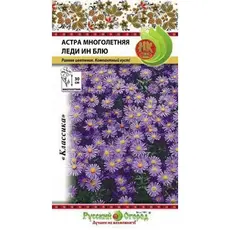 Семена Астра многолетняя Леди Ин Блу (а/ф Русский Огород)