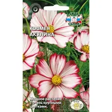 Семена Космея Акулина (а/ф Седек)