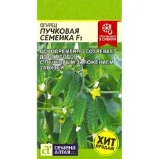 Семена Огурец Пучковая Семейка F1 (а/ф Семена Алтая)