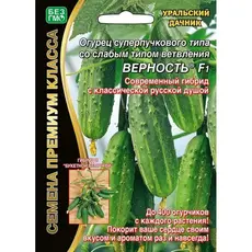 Семена Огурец Верность F1 (До 400 Огурчиков, Суперпучковый, Корнишон) (А/Ф Уральский Дачник)