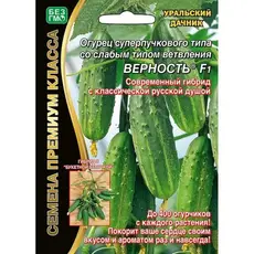 Семена Огурец Верность F1 (а/ф Уральский Дачник)