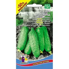 Семена Огурец Водопад (а/ф Уральский Дачник) 50%БЕСПЛАТНО