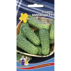 Семена Огурец Миранда F1 (а/ф Уральский Дачник)