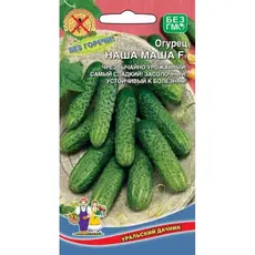 Семена Огурец Наша Маша F1 (а/ф Уральский Дачник)