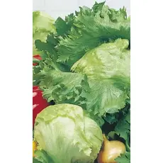 Семена Салат Крупнокочанный (а/ф Уральский Дачник)