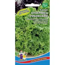 Семена Салат Кучерявец Грибовский (а/ф Уральский Дачник)