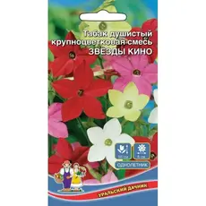 Семена Табак Душистый Звезды Кино - крупноцветковая смесь (а/ф Уральский Дачник)