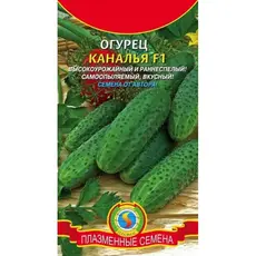 Семена Огурец Каналья F1 (а/ф Плазменные семена)
