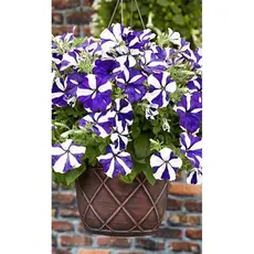 Семена Петуния Лавина синяя звезда F1, ампельн. 10 др. (а/ф Наш сад)