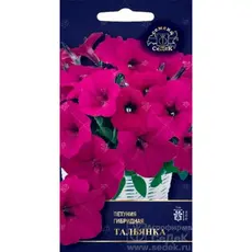 Семена Петуния многоцветковая Тальянка F1 шт (а/ф Седек)