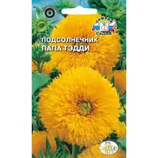 Семена Подсолнечник Папа Тэдди (а/ф Седек)