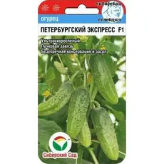 Семена Огурец Петербургский экспресс F1 7шт (а/ф Сибирский Сад)