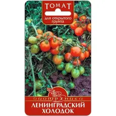 Семена Томат Ленинградский Холодок (а/ф Биотехника)