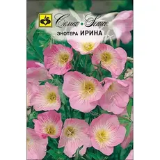 Семена Энотера Ирина (а/ф Семко)