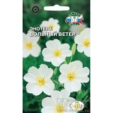 Семена Энотера Вольный ветер (а/ф Седек)