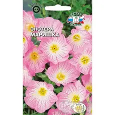 Семена Энотера Маришка (а/ф Седек)